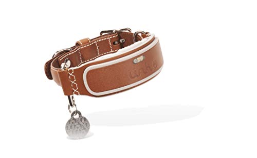 Link akc smart dog collar - gps location tracker, activity monitor, and more